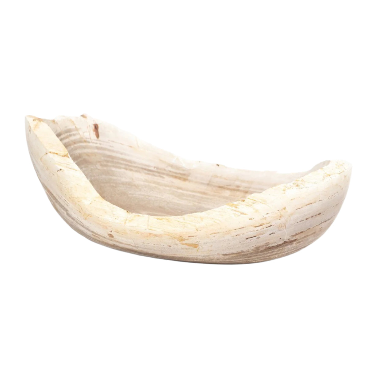 Bol en bois pétrifié Leda