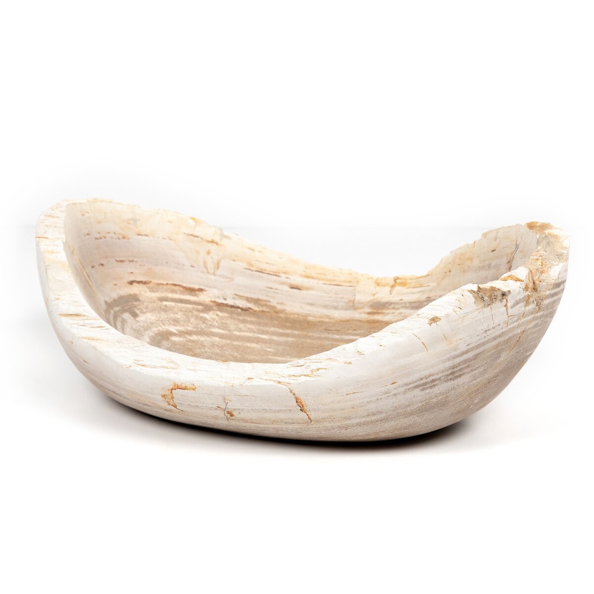 Bol en bois pétrifié Leda
