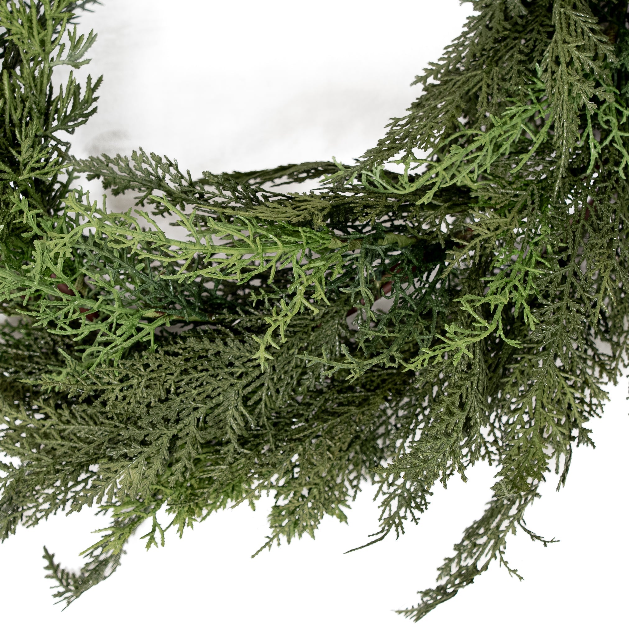 Couronne de cèdre