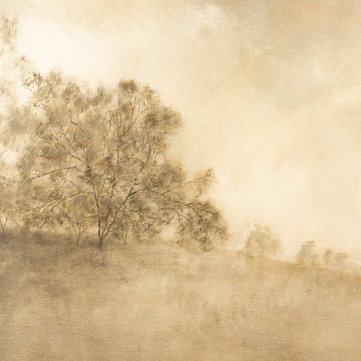 Brume