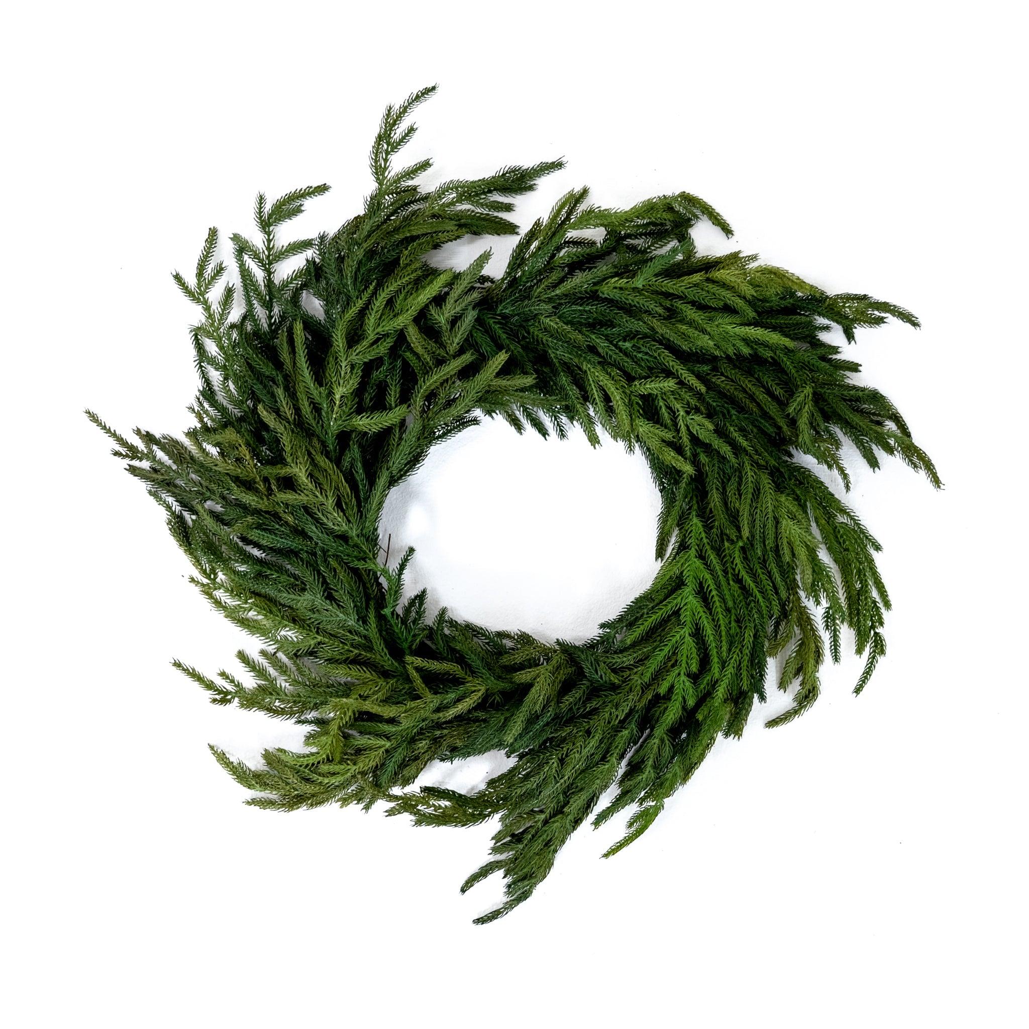 Couronne de faux pin de Norfolk - 15