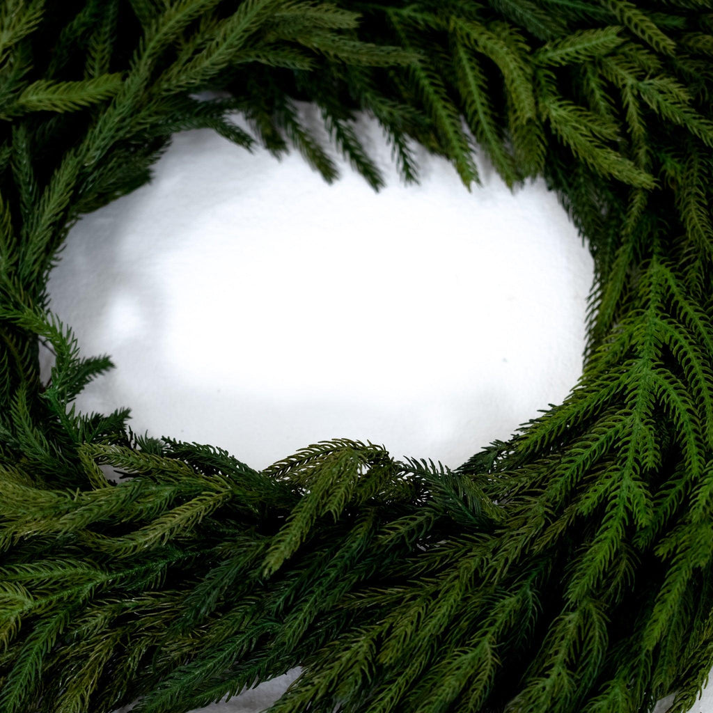 Couronne de faux pin de Norfolk - 15