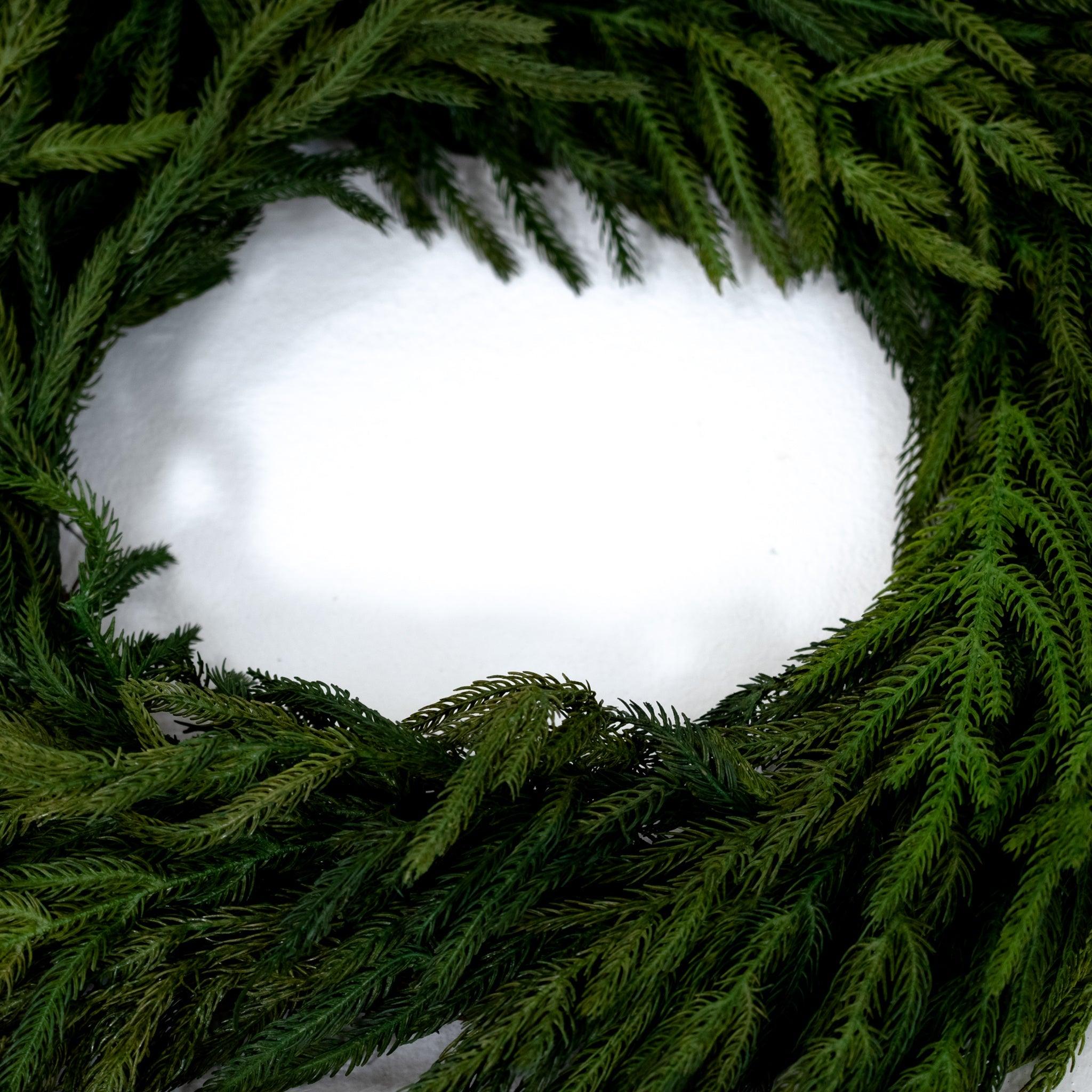 Couronne de faux pin de Norfolk - 15